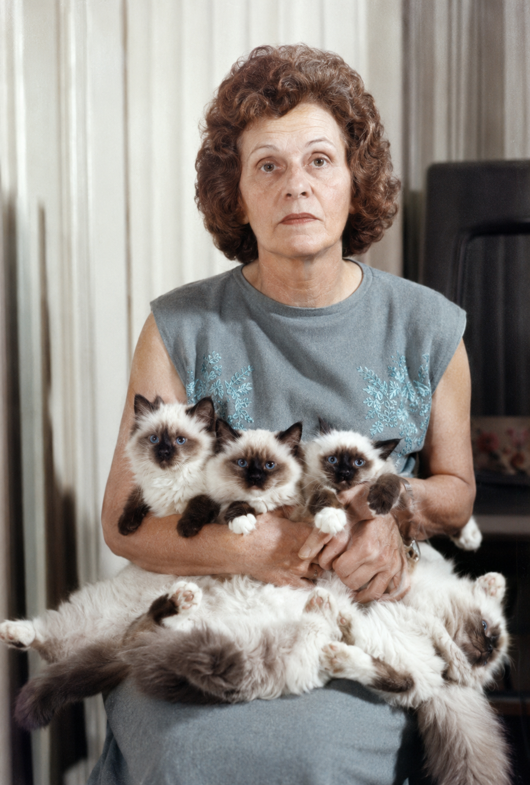 Ann Baker entourée de ses chats