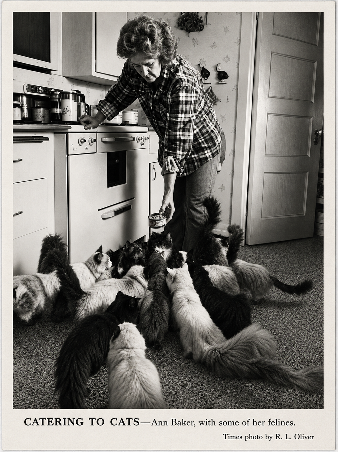 Raggedy Ann cattery home of Ann Baker