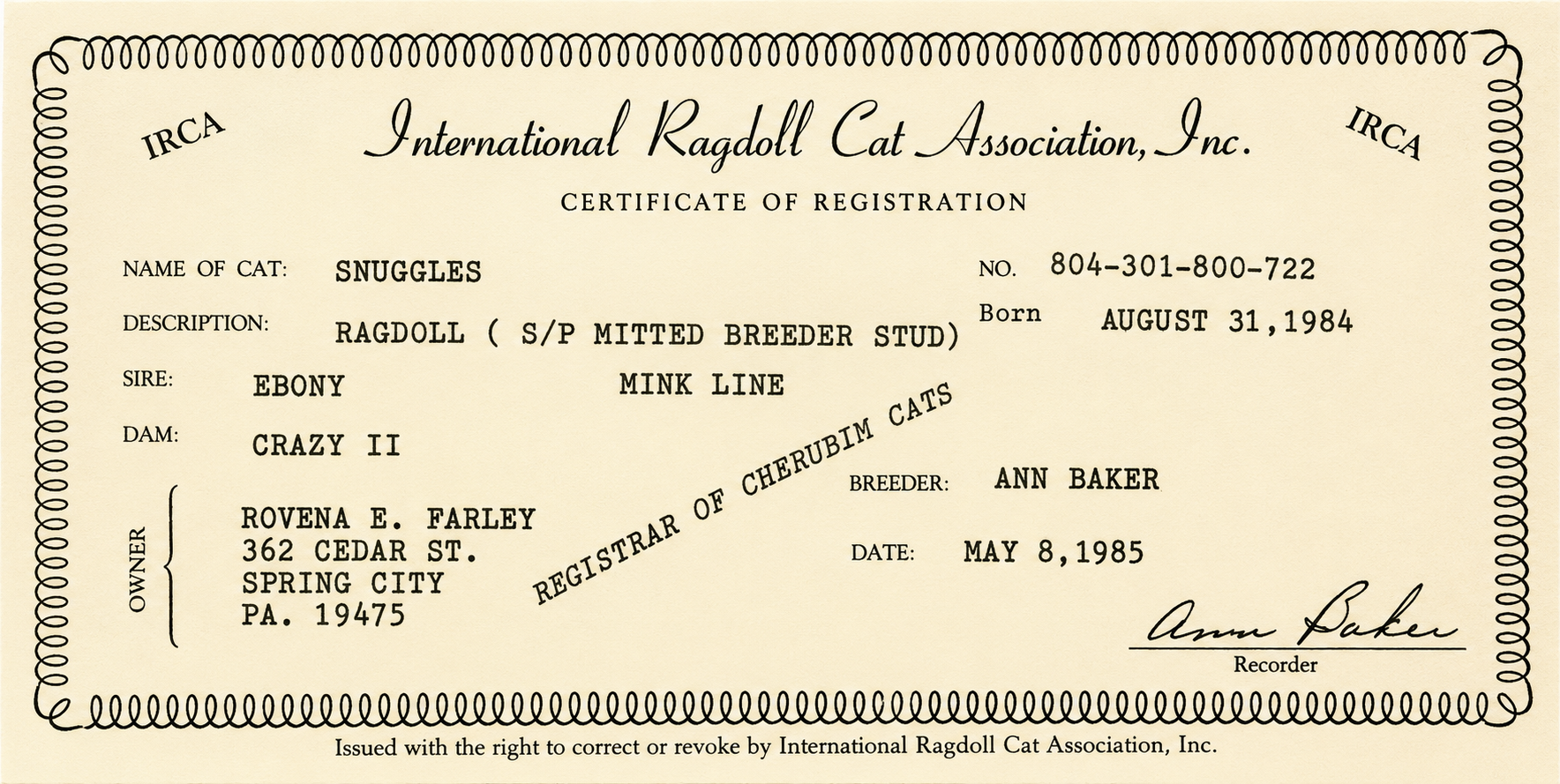 pedigree of first cherubims 