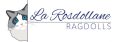 LOGO-768x272